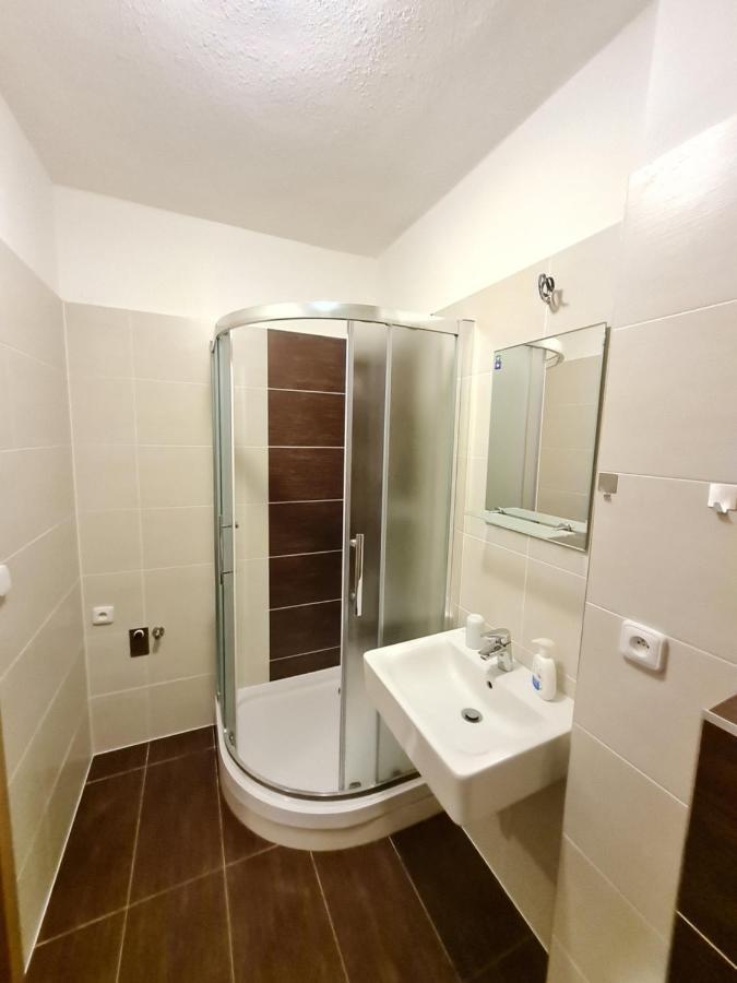 Na Kraji Lesa Apartment Vsemina